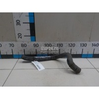 Патрубок радиатора Ford Focus I (1998 - 2005) 2S418B274AC