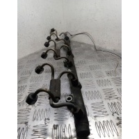 топливная рампа BMW 5 E39 2003 0445216002,0281002475,256D1,M57D25