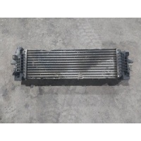 интеркулер BMW X7 G07 2019 17518584127