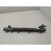Рампа (рейка) топливная Mercedes W211 (E) 2003 6110700395