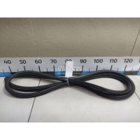 Уплотнитель двери Mitsubishi Grandis (NA#) (2004 - 2010) MR959697XA