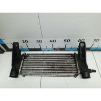 Интеркулер Ford Transit/Tourneo Connect (2002 - 2013) 4548369