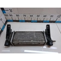 Интеркулер Ford Transit/Tourneo Connect (2002 - 2013) 4548369