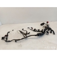 Проводка двигателя Opel Astra H 2006 55556767,0280620565,55559233