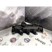 Крышка головки блока цилиндров Renault Scenic 2011 8200629199