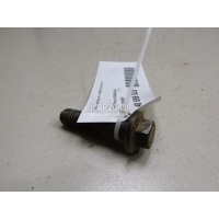 Болт переднего амортизатора Ford Transit/Tourneo Connect (2002 - 2013) 1382597