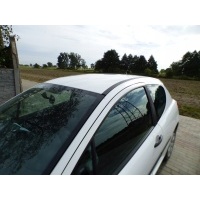 Крыша столбики ewp лак oryginalny peugeot 207 3d