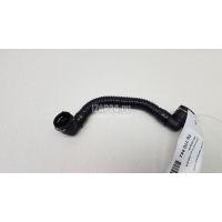 Трубка картерных газов GM Signum (2003 - 2008) 55556495
