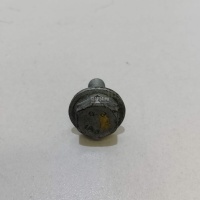 Болт Renault Scenic II (2003 - 2009) 8200718048