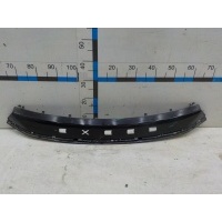 Накладка бампера переднего EXEED TXL 2020- 602001190AA
