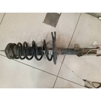 Амортизатор задний левый Toyota Camry XV40 2006-2011 2006 4854039755
