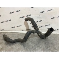 патрубок системы охлаждения Mazda 3 BL, седан 2011 Z6941518Y