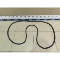 Уплотнитель двери Jaecoo J7 2023> 554001363AA