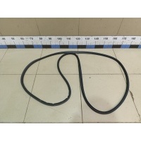Уплотнитель двери Jaecoo J7 2023> 554001366AA