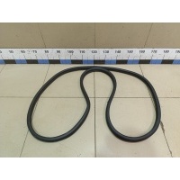 Уплотнитель двери Jaecoo J7 2023> 554001371AA