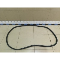 Уплотнитель двери Jaecoo J7 2023> 554001373AA