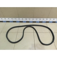 Уплотнитель двери Jaecoo J7 2023> 554001373AA
