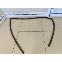 Уплотнитель стекла двери TOYOTA Corolla E12 2001-2006 6814102071
