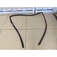 Уплотнитель стекла двери TOYOTA Corolla E12 2001-2006 6814202070