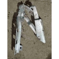 Петля капота Volkswagen Golf 5(2004-2009) 2008 1K0823302C