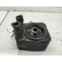 Теплообменник Volkswagen Golf-6 2011 038117