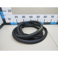 Уплотнитель двери VAG Passat [B6] (2005 - 2010) 3C4867911C5AP