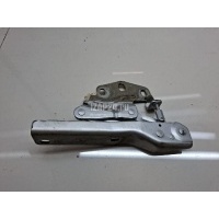 Петля капота правая VAG Passat [B6] (2005 - 2010) 3C0823302D
