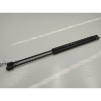 Амортизатор крышки багажника (3-5 двери) Land Rover Freelander 2008 6H52406A10AF