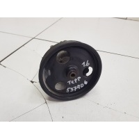 Насос гидроусилителя 1.6 Nissan Terrano III 2014- 491328861R
