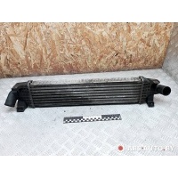 Интеркулер Ford Focus 2 2007 3M5H9L440AC,3M5H9L440AD,3M5H9L440AE,3M5H9L440AB,3M5H9L440AA,1316496,1353523,1231015