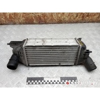 Интеркулер Citroen C5 2002 IA1095,874823NK,9645682880