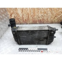 Интеркулер Fiat Ducato 2002 1307012080,0384E4,0384G8,E256097,1340934080,LRIC1650,3840000,8ML376727571,KIZ1084EB,KIZ1084FR,KIZ1084RR,CI129000S,96889,30066A,817632