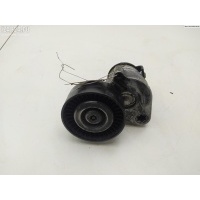 Механизм натяжения ремня, цепи Mercedes W203 (C) 2002 950138