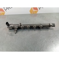 Топливная рампа Mercedes-Benz C-class W204 2011 A6510700595, R9144Z230A