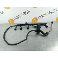 Проводка BMW X5 E53 2003 12517506843, 12517506843, 12517501495
