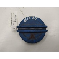 Пробка расширительного бачка Volkswagen Transporter 5 2008 3B0121321