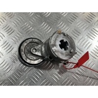 Натяжитель Audi S4 B8/8K 2014 06E903133R,06E903133AE,04883020001