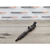 Форсунка дизельная Renault Megane 2 2005 8200100272, 8200100272, 0445110110