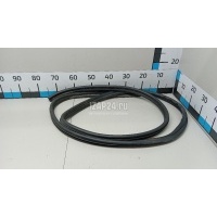 Уплотнитель двери Fiat Doblo (2005 - 2015) 46814072