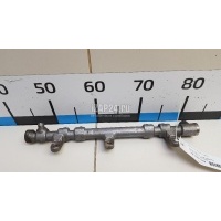 Рейка топливная (рампа) Hyundai-Kia Santa Fe (DM) (2012 - 2018) 314002F000