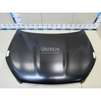 Капот TYG Qashqai (J10) (2006 - 2014) DS20133AV