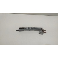 Направляющая стекла двери Nissan Qashqai (J10) (2006 - 2014) 82217JD000