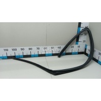 Уплотнитель стекла двери Nissan Qashqai (J10) (2006 - 2014) 80331BR25B
