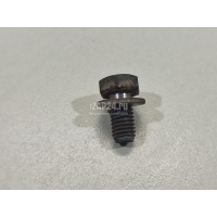Болт BMW X5 E70 (2007 - 2013) 07119905528