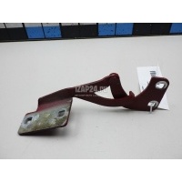 Петля капота правая Citroen-Peugeot Berlingo (M59) (2002 - 2012) 791281