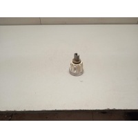Плафон салонный Chrysler Grand Cherokee (WH/WK) (2005 - 2010) 5023881AG