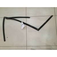 Уплотнитель стекла двери задней левой Ford Fusion 2002-2012 2007 1370169