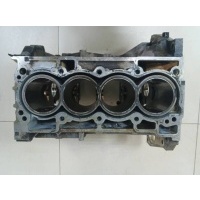 Блок двигателя Nissan Nissan X-Trail (T31) 2007-2014 MR20DE, 11000EN205