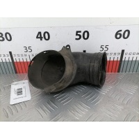 Патрубок воздушного фильтра (гофра инжектора) Volkswagen Sharan 1 (1995-2010) 2002 7M3805661B,7M3805661B