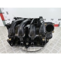 Коллектор впускной Volkswagen Golf 4 (1997-2004) 2002 2900308949,036129711DR